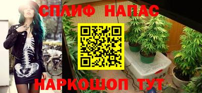 mdpv Рыбинск