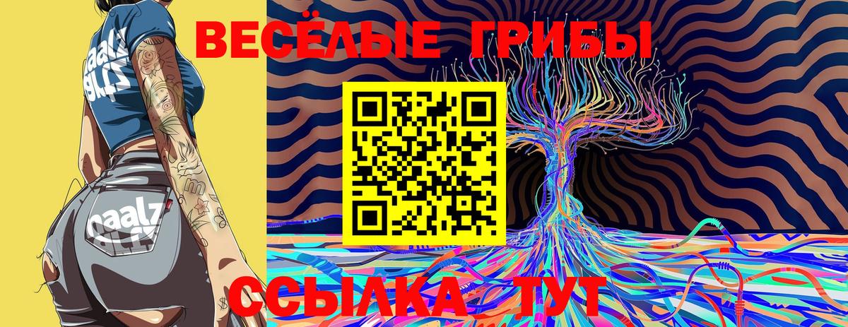 Орёл  Галлюциногенные грибы Psilocybe  Галлюциногенные грибы мицелий  Вход с VPN 